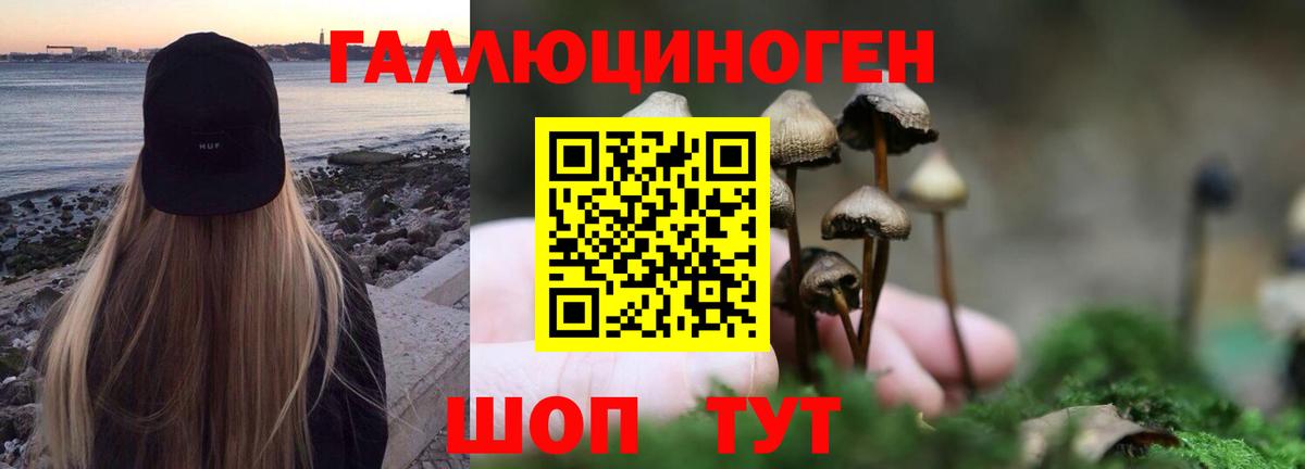 магазин продажи   Галлюциногенные грибы MAGIC MUSHROOMS  Галлюциногенные грибы мухоморы  Вход с VPN  Карталы 